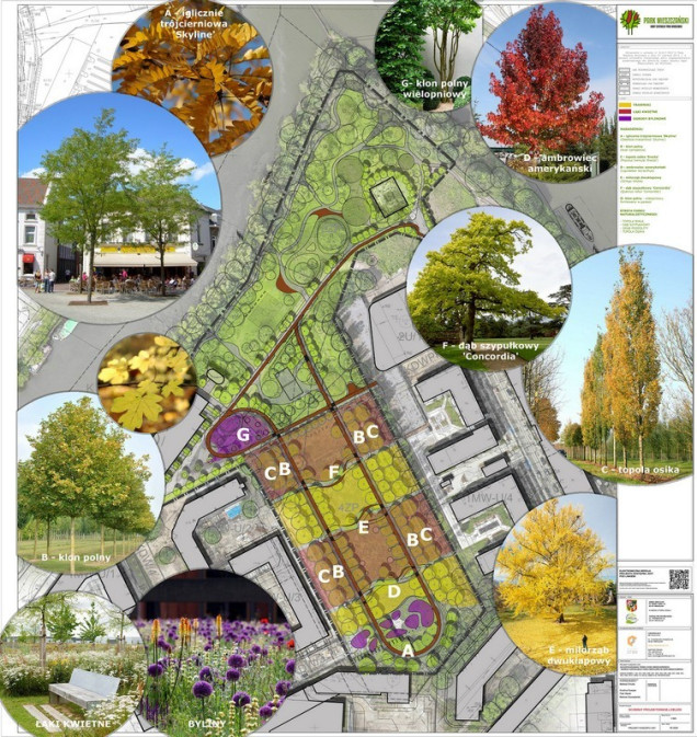 Park Mieszczański we Wrocławiu