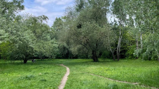 park gądowski przed rewitalizacją, wrocław