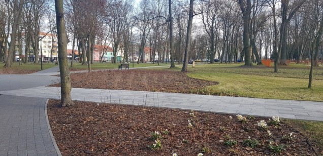 Park tysiąclecia w w Krośnie Odrzańskim 