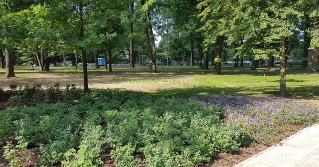 Park tysiąclecia w w Krośnie Odrzańskim 