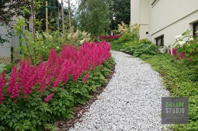 Naturalny ogród przydomowy