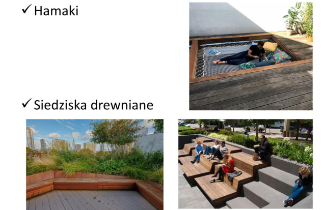 Nowy Park w Regułach siedziska