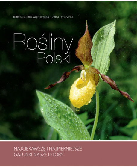 książka: Rośliny Polski