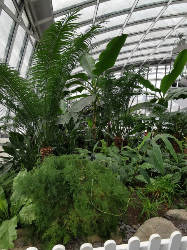 najwyżej położony ogród w londynie sky garden