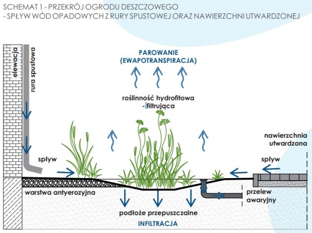 Funkcjonowanie ogrodu deszczowego schemat