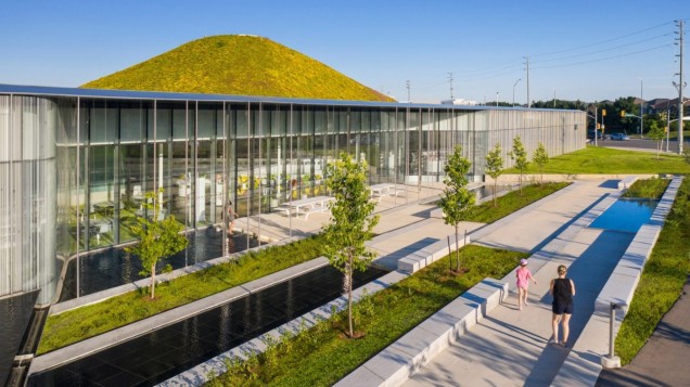 Zielony dach biblioteki w Toronto