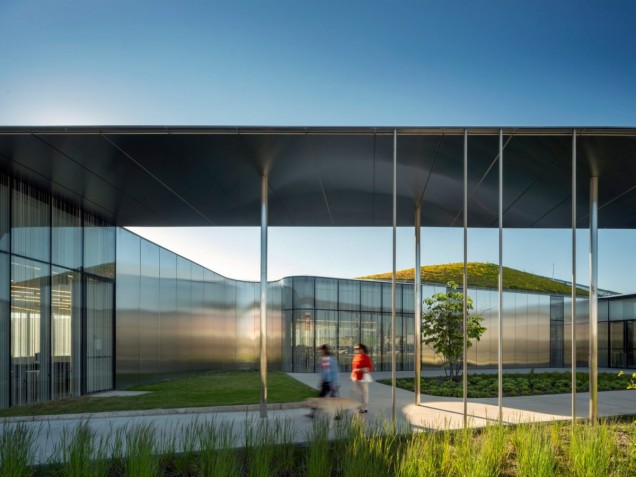 Zielony dach biblioteki w Toronto