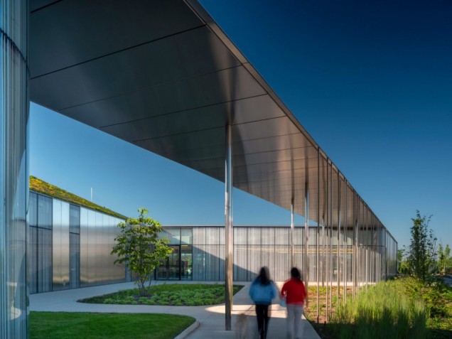 Zielony dach biblioteki w Toronto