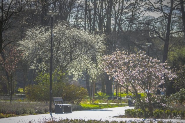 park Miejski w Starogardzie Gdańskim
