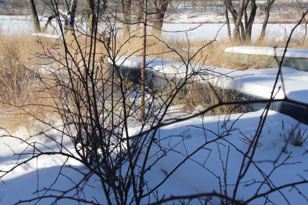 ekologiczna estetyka ogrodu w Winnipeg