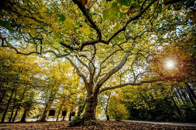 park szczodre