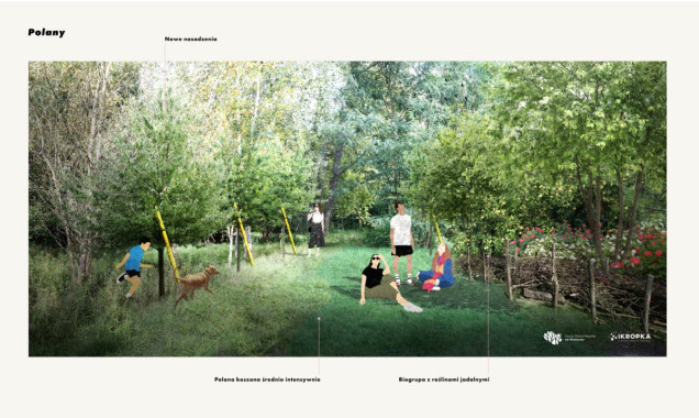 Park przy ulicy Idzikowskiego we Wrocławiu