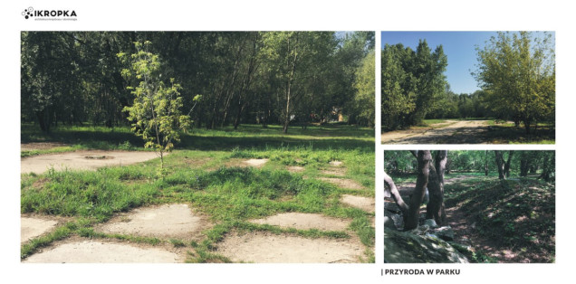 Park przy ulicy Idzikowskiego we Wrocławiu