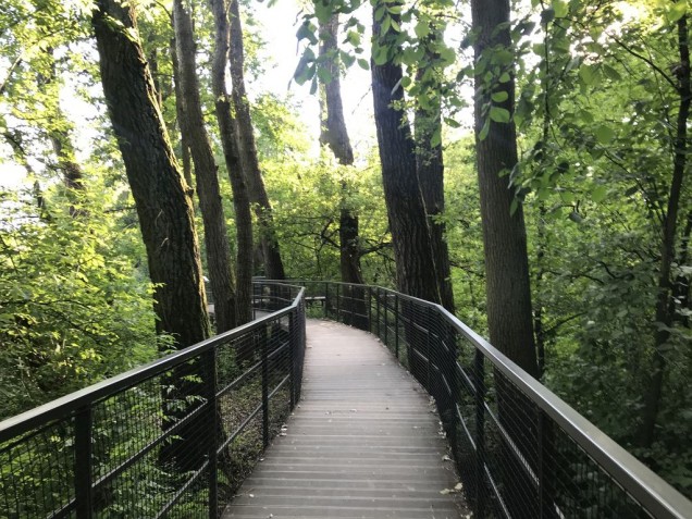 Dolina Wkry, park w pomiechówku