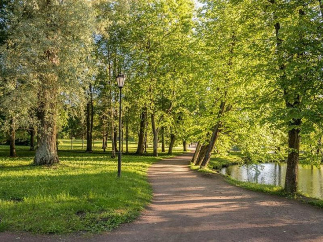 fot. ekologia.pl