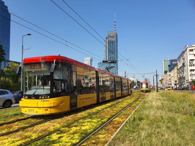 Zielone tory tramwajowe w Warszawie