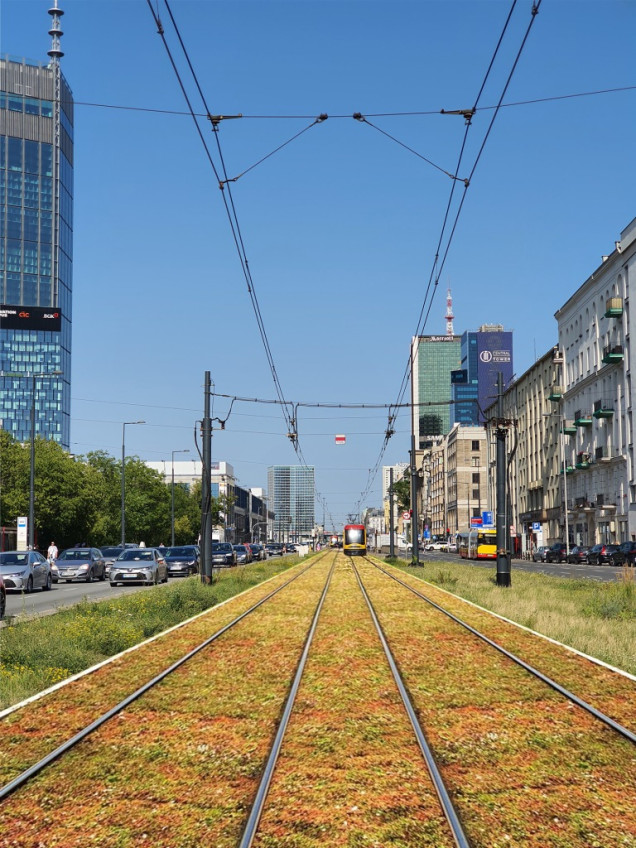 Zielone tory tramwajowe w Warszawie