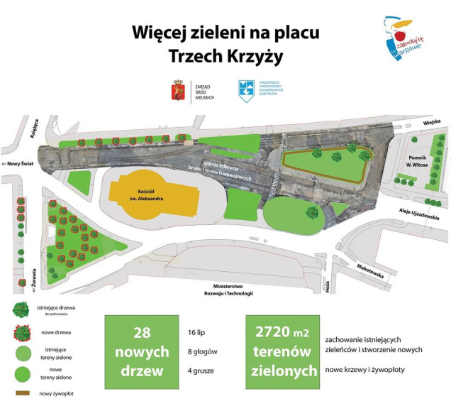 Zielony plac Trzech Krzyży - będzie 28 nowych drzew