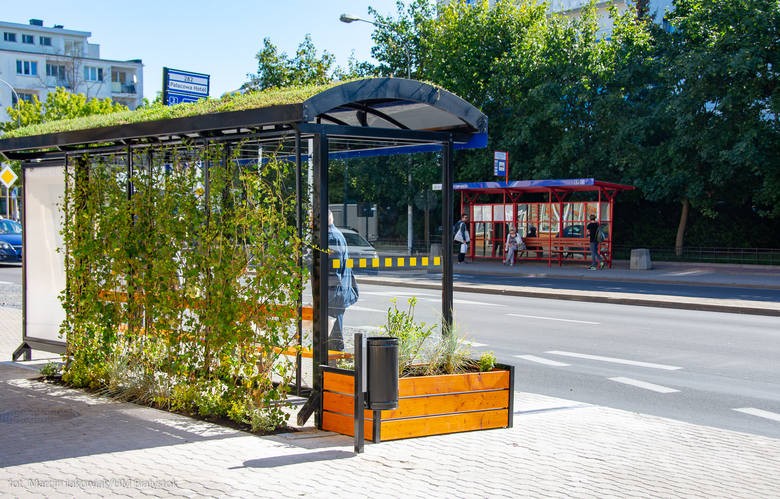 Zielone przystanki w Białymstoku - Trendy w architekturze krajobrazu -  Sztuka Krajobrazu