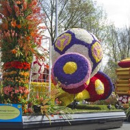 Wielka Parada Kwiatów 2015