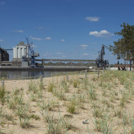 08_Waller Sand_©A24_HannsJoosten