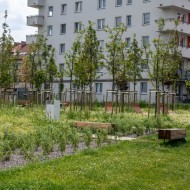 Park Reduta w Krakowie