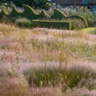 ogród jardin plume