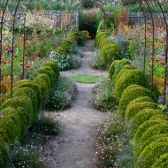 ogród jardin plume