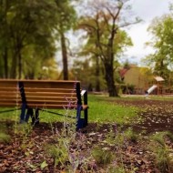 Park kieszonkowy we Wrocławiu