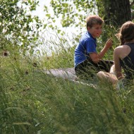 ekologiczna estetyka ogrodu w Winnipeg