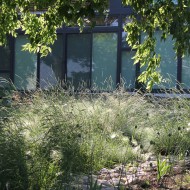 ekologiczna estetyka ogrodu w Winnipeg