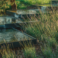 Polski ogród z nagrodą DNA Paris Design Awards kłyk landsaping
