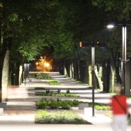 projekt ogród