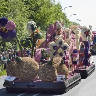 Wielka Parada Kwiatów 2015