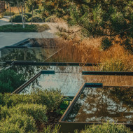 Polski ogród z nagrodą DNA Paris Design Awards kłyk landsaping