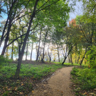 park