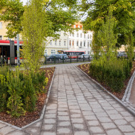chodnik pomiędzy bujnymi roślinami na zieleńcu w Hucisku