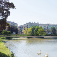 łabędzia kładka wrocław projekt