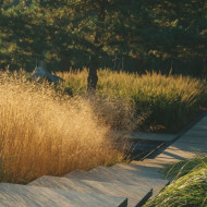 Polski ogród z nagrodą DNA Paris Design Awards kłyk landsaping