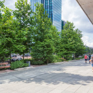 Zielona przestrzeń przed Q22