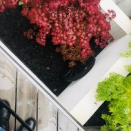 aranżacja ogrodu, ogród na poziomie, Fabryka Ogrodów, realizacja ogrodu, ogród prywatny, ogrodowe inspiracje