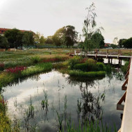 Niepołomickie Błonia: wyjątkowy park nad Wisłą