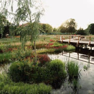 Niepołomickie Błonia: wyjątkowy park nad Wisłą