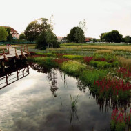 Niepołomickie Błonia: wyjątkowy park nad Wisłą