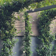 projekt małego patio