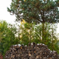 Ogród naturalny