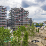 Zielone serce Towarowej22 rośnie w centrum Warszawy