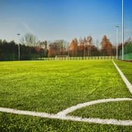 boisko aleksandrów łódzki, dywilan, murawa na boisko, trawa tkana, architektura krajobrazu, obiekty spotrowe, boisko, stadion, piłka nożna
