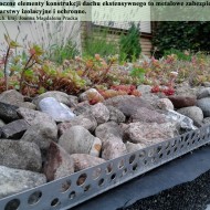Dach ekstensywny