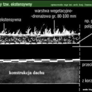 Dach ekstensywny